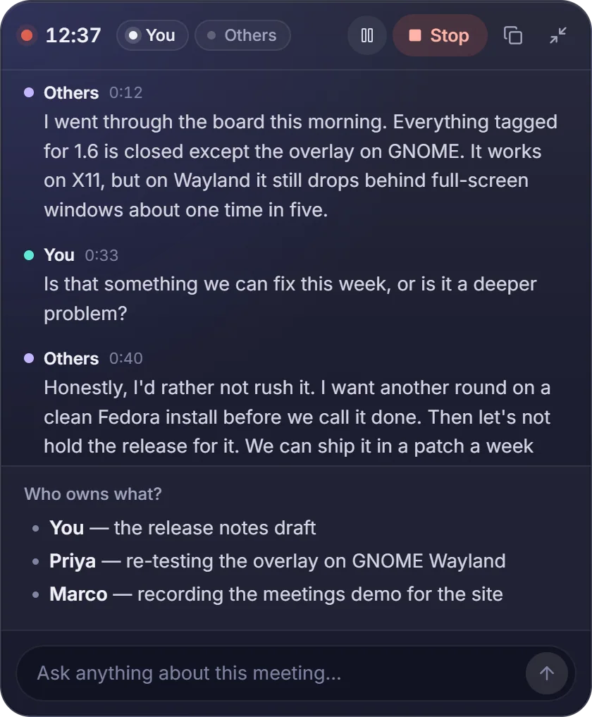 Talvio's meeting pill during a call: a live transcript split into You and Others, and notes listing who owns what.